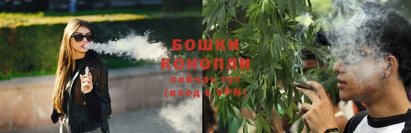 apvp Верея