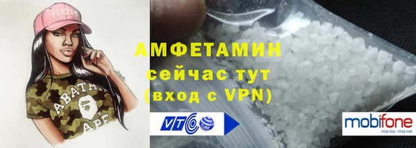 сатива Волоколамск