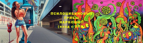 apvp Верея