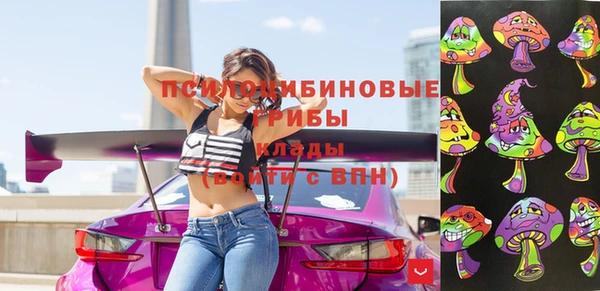 apvp Верея
