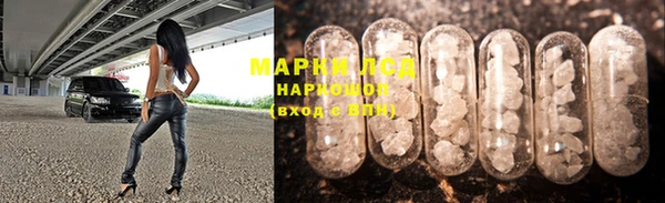 apvp Верея